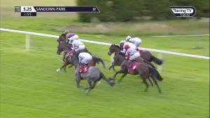 Video preview image for Sandown Park 17:25 - National Stakes (Listed) (1)
