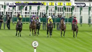 Video preview image for Haydock Park 16:55 - British Stallion Studs EBF Novice Stakes (5)