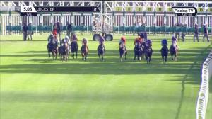 Video preview image for Leicester 17:05 - Everards Of Leicestershire Handicap (6)