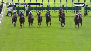 Video preview image for Sandown Park 17:25 - Esher Novice Stakes (5)