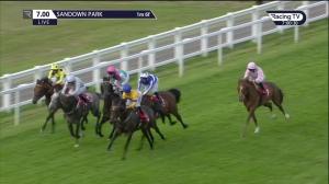 Video preview image for Sandown Park 19:00 - Young Stayers Handicap (3)