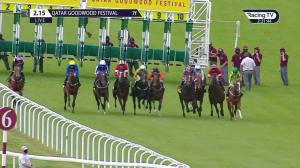 Video preview image for Goodwood 14:15 - Veuve Clicquot Vintage Stakes (Group 2) (1)
