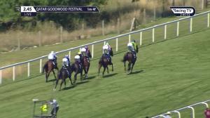 Video preview image for Goodwood 14:45 - John Pearce Racing Gordon Stakes (Group 3) (1)
