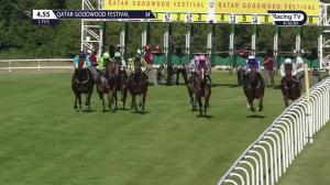 Video preview image for Goodwood 16:55 - Tatler Nursery Handicap (2)