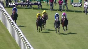 Video preview image for Goodwood 14:15 - Bonhams Thoroughbred Stakes (Group 3) (1)