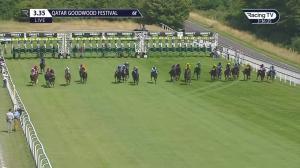 Video preview image for Goodwood 15:35 - Unibet Stewards' Cup (Heritage Handicap) (2)