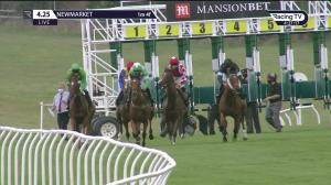 Video preview image for Newmarket 16:25 - Mansionbet Watch and Bet Handicap (3)