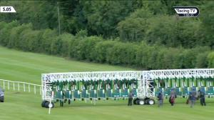 Video preview image for Naas 17:05 - Nursery Of Champions Maiden