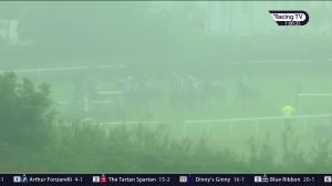 Video preview image for Wexford 13:00 - Boro Maiden Hurdle