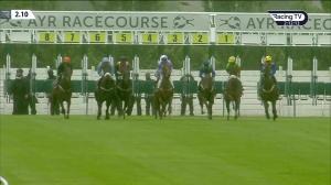 Video preview image for Ayr 14:10 - British Stallion Studs EBF Novice Auction Stakes (5)