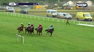 Video preview image for Wexford 15:00 - Slaney Beginners Chase