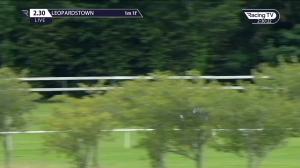 Video preview image for Leopardstown 14:30 - Leopardstown Fillies