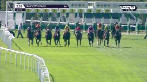 Video preview image for Sandown Park 14:55 - Kingston Handicap (5)