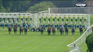 Video preview image for Leicester 15:00 - Persimmon Homes @appleyard Fleckney Classified Stakes (6)