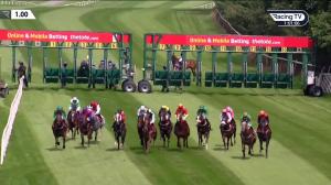 Video preview image for Gowran Park 13:00 - Mansionbet Beaten By A Head Handicap