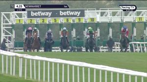 Video preview image for Newmarket 16:25 - Betway Fillies' Handicap (4)