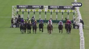 Video preview image for Newbury 17:40 - Super Boosts From Unibet Novice Stakes (5)