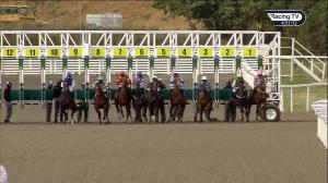 Video preview image for Chelmsford City 16:20 - Tote Placepot - Your First Bet Nursery Handicap (5)