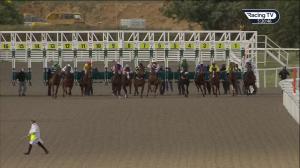 Video preview image for Chelmsford City 16:50 - British Stallion Studs EBF Novice Stakes (5)