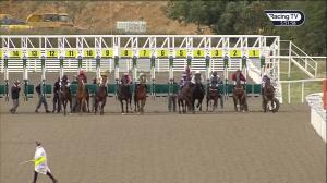 Video preview image for Chelmsford City 17:25 - Broomfield Handicap (5)