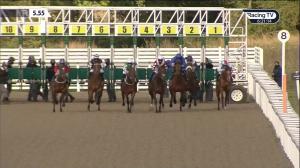 Video preview image for Chelmsford City 17:55 - Retraining Of Racehorses Online Auction Starts 27.08.20 Novice Stakes (5)