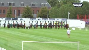 Video preview image for Naas 15:55 - Silver Irish European Breeders Fund Ballyhane Stakes (Median Auction)