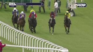 Video preview image for Goodwood 12:45 - Ladbrokes Giving Extra Places Every Day Novice Stakes (5)