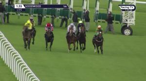 Video preview image for Goodwood 13:55 - British Stallion Studs EBF Novice Stakes (4)