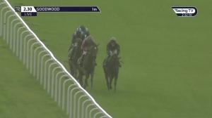 Video preview image for Goodwood 14:30 - Ladbrokes Get Your Daily Odds Boost Fillies' Handicap (3)