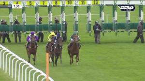 Video preview image for Newmarket 13:30 - Close Brothers Savings British EBF Novice Stakes (5)