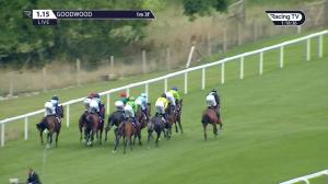 Video preview image for Goodwood 13:15 - Chichester City Selling Stakes (4)
