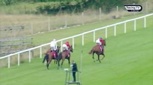 Video preview image for Goodwood 13:50 - Ladbrokes Best Odds Guaranteed Fillies' Handicap (3)