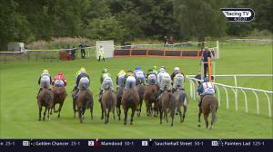 Video preview image for Perth 16:25 - Price Promise At Bet365 Handicap Hurdle (5) (Div 2)