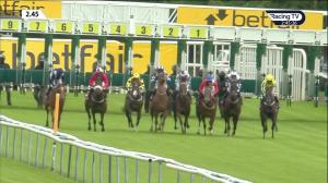 Video preview image for Haydock Park 14:45 - Betfair Racing Only Bettor EBF Fillies' Novice Stakes (5)
