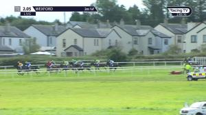 Video preview image for Wexford 14:05 - Adare Manor Opportunity Maiden Hurdle