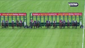 Video preview image for Navan 17:40 - Irish European Breeders Fund Supporting Irish Champions Weekend Maiden 