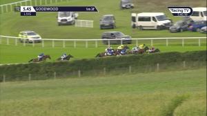 Video preview image for Goodwood 17:45 - Every Race Live On Racing TV Novice Stakes (4)