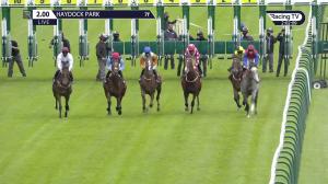Video preview image for Haydock Park 14:00 - British Stallion Studs EBF Novice Median Auction Stakes (5)