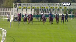 Video preview image for Sandown Park 14:00 - British Stallion Studs EBF Novice Stakes (4)