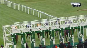 Video preview image for Salisbury 18:05 - British EBF Novice Stakes (4)