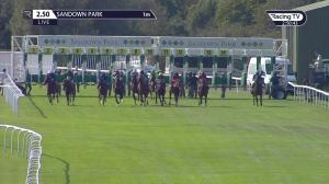 Video preview image for Sandown Park 14:50 - British Stallion Studs EBF Novice Stakes (4)
