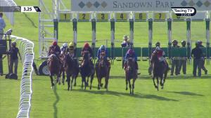 Video preview image for Sandown Park 15:25 - Downside Novice Stakes (3)