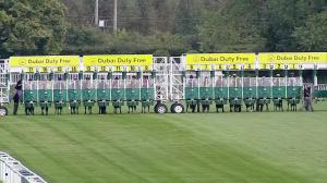 Video preview image for Newbury 16:30 - Heatherwold Stud Handicap (3)