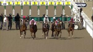 Video preview image for Chelmsford City 15:00 - chelmsfordcityracecourse.com Handicap (2)