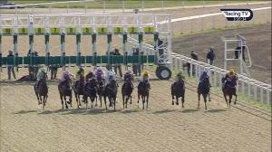 Video preview image for Chelmsford City 15:30 - tote.co.uk Free Streaming Every UK Race Handicap (5) (Div 1)