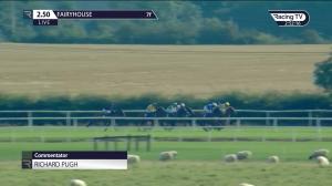 Video preview image for Fairyhouse 14:50 - Irish Stallion Farms European Breeders Fund Claiming 