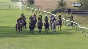 Video preview image for Warwick 15:45 - Bet At racingtv.com Handicap Chase (5)
