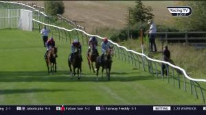 Video preview image for Warwick 14:20 - racingtv.com Novices' Handicap Chase (4)
