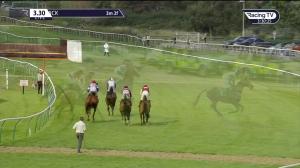 Video preview image for Warwick 15:30 - Racing TV Handicap Hurdle (4)