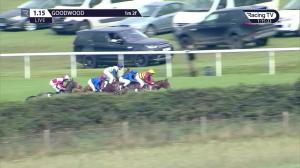 Video preview image for Goodwood 13:15 - Download The Tote Placepot App Future Stayers' EBF Maiden Stakes (2)